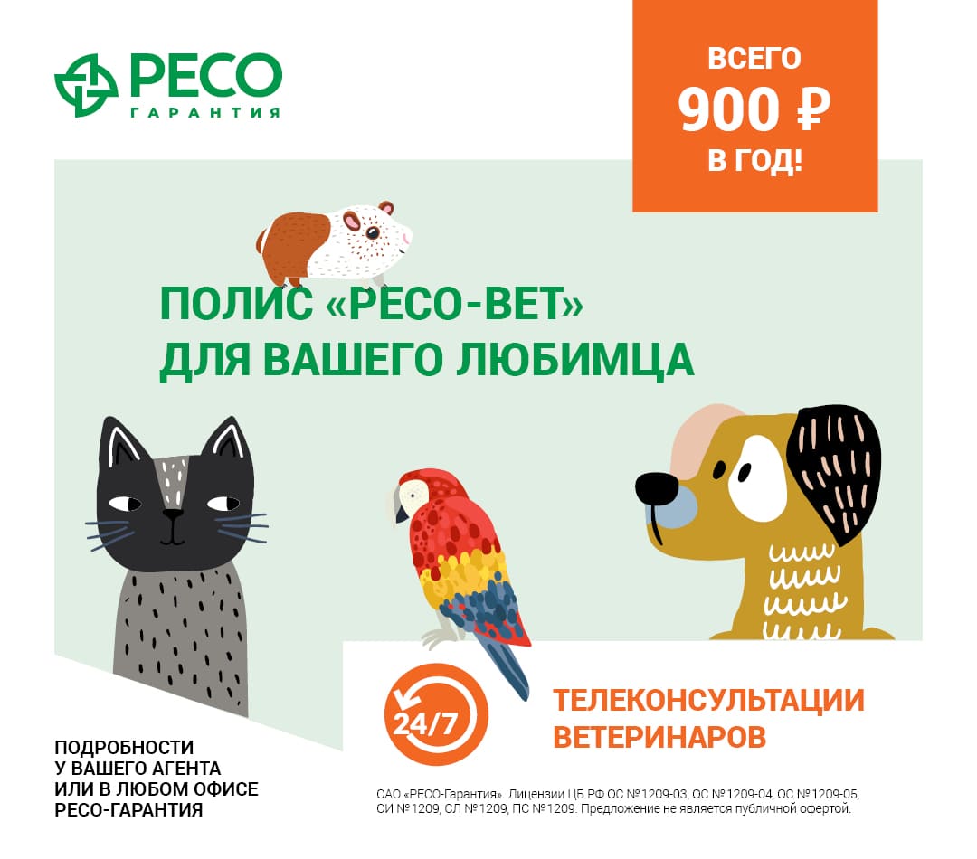 Платформа для консультаций РЕСО-Вет - чат, видео, телефон